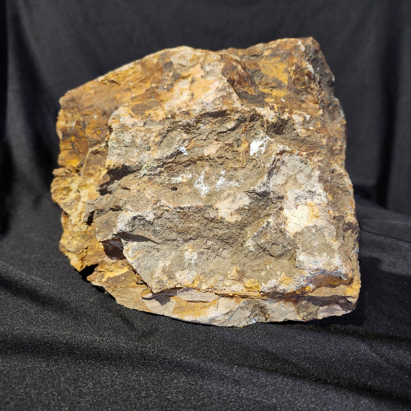Petrified Wood Stone
