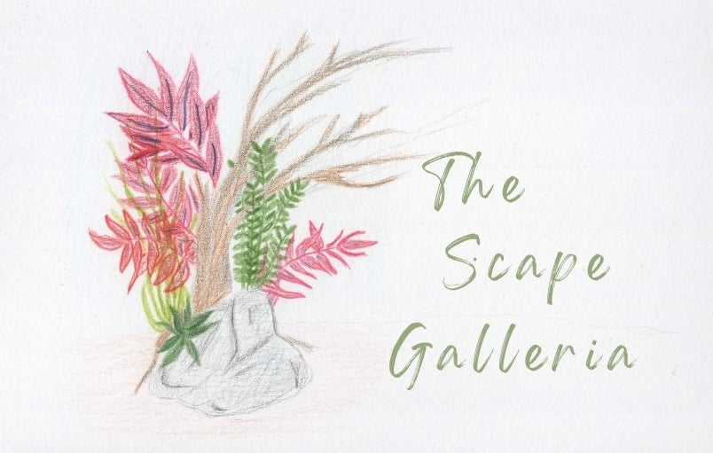 The Scape Galleria Gift card